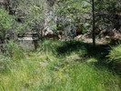 photo thumbnail #13