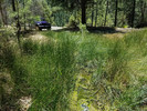 photo thumbnail #14