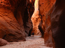 photo thumbnail #13
