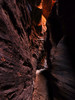 photo thumbnail #15