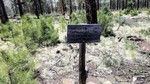 photo thumbnail #13