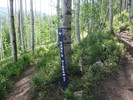 photo thumbnail #5