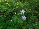 photo thumbnail #9