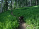 photo thumbnail #12