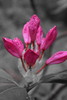 photo thumbnail #15