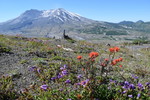photo thumbnail #10