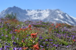 photo thumbnail #14