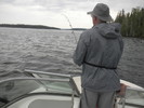 photo thumbnail #7