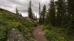 photo thumbnail #3