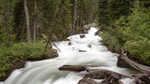 photo thumbnail #4