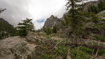 photo thumbnail #11
