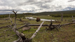 photo thumbnail #3