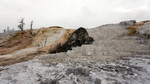 photo thumbnail #10