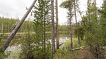 photo thumbnail #14