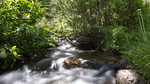 photo thumbnail #14