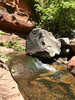 photo thumbnail #5