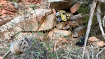 photo thumbnail #11