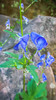 photo thumbnail #11
