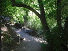 photo thumbnail #5