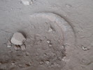 photo thumbnail #15