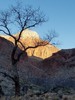 photo thumbnail #15