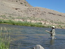 photo thumbnail #4