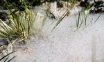 photo thumbnail #3