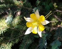 photo thumbnail #8