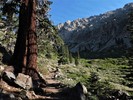 photo thumbnail #8
