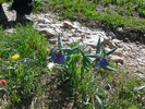 photo thumbnail #4