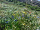 photo thumbnail #7