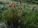 photo thumbnail #9