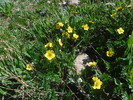 photo thumbnail #12