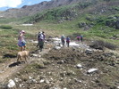 photo thumbnail #15