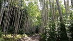 photo thumbnail #13