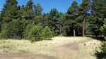 photo thumbnail #14