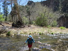 photo thumbnail #5