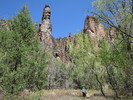 photo thumbnail #8