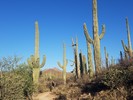 photo thumbnail #2