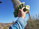 photo thumbnail #5