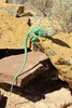 photo thumbnail #5