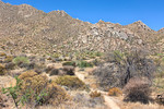 photo thumbnail #5