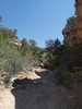 photo thumbnail #8