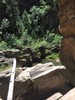 photo thumbnail #7