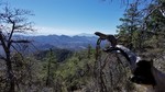 photo thumbnail #4