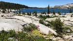 photo thumbnail #5