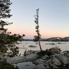 photo thumbnail #12