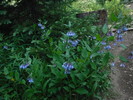 photo thumbnail #3