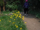 photo thumbnail #5