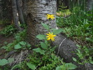 photo thumbnail #6